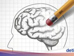 Sederet Kebiasaan yang Bisa Picu Alzheimer, Termasuk Malas Gerak