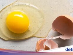 Benarkah Kuning Telur Mengandung Kolesterol Tinggi? Ahli Gizi Bilang Gini