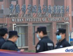 Sederet Teori Asal Usul COVID-19, Sempat Disebut Bersama ‘Kebocoran’ Lab Wuhan