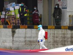 Deretan Hewan yang Diduga Pembawa COVID-19 Pemicu Wabah Internasional Di Pasar Wuhan